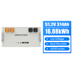 Batería Solar de 51.2v 314ah 16kwh, Batería de Litio de Almacenamiento de Energía Montada en Rack para Almacenamiento de Energía Solar Doméstica - Product Image 1