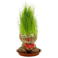 Poupée à Tête d'Herbe aux Grands Yeux, Créative, pour Enfants de Maternelle, Plante en Pot Petite et Intérieure à Planter Soi-même, Cadeau