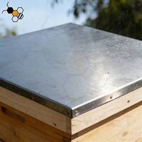 Ruche Langstroth en bois de sapin à 5 niveaux avec joint queue d'aronde, 10 cadres, ruche standard pour équipement d'apiculture