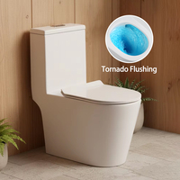WC monobloc South Villa Nouveau Modèle avec siphon P/S, design anti-gel, chasse d'eau Tornado et Vortex pour salle de bain