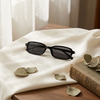 Lunettes de soleil tendance, dernières nouveautés pour femmes et hommes, en acétate, polarisées, 2026, lunettes de créateur de luxe, lunettes carrées rétro noires