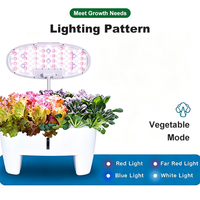 Prix de gros – Nouvelle jardinière hydroponique moderne et facile à utiliser pour légumes, fruits et fleurs – Petit système de culture hydroponique