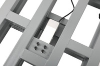 PUCHUN SCALES Chine Banc Balance Fabricant Numérique TCS Plate-Forme Électronique Balance 300kg