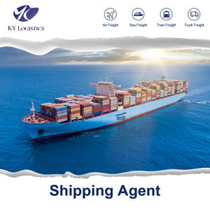 Servizio Porta a Porta DDP, Agente Logistico Professionale per Spedizioni dalla Cina (Xiamen) verso <span class=keywords><strong>Regno</strong></span> Unito/Canada/Spagna/Messico/Cile - Product Image 2