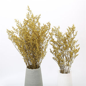 Suspension de fleurs séchées pour carte de remise de diplôme, accessoires de décor, cadeau naturel en lycra, statue préservée, herbe des amoureux, démodis <span class=keywords><strong>gyrans</strong></span> - Product Image 2