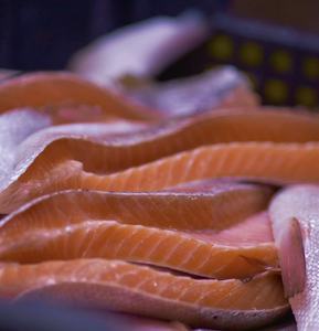 Aliment pour saumon et truite CITICO, riche en nutriments et en astaxanthine, améliore la couleur et la croissance des poissons - Product Image 4