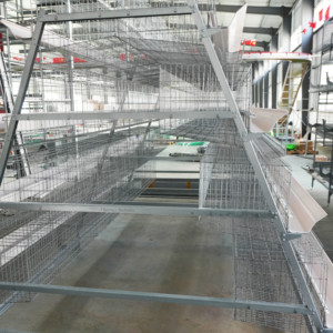 Nouvelle cage à batterie en acier alliage zinc-aluminium-magnésium de marque CHUANGYI, longue durée de vie, pour l'élevage avicole, en forme de A, pour poules pondeuses - Product Image 4