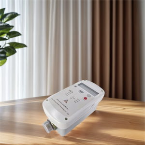 Compteur de gaz ultrasonique horizontal intelligent haute précision ZHONGYI G1.6 pour la mesure du gaz résidentiel avec LoRaWAN NB-IoT GPRS - Product Image 1