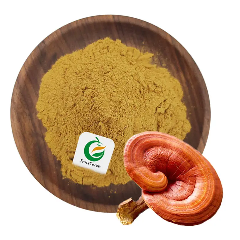 Fruiterco Organique Lingzhi Ganoderma Lucidum Extrait Poudre Reishi Extrait De Champignon