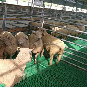 600*600mm nhựa dê đổ đá đen sàn trang trại dê Slatted sàn cho dê cừu trang trại - Product Image 6