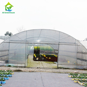 Serres agricoles à tunnel bas à prix abordable, structure en acier galvanisé commercial, film résistant aux UV - Product Image 4