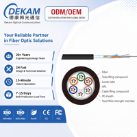 Kabel Fiber Optik GYTA 32 Core Single Mode 9/125 Berlapis Baja untuk Pemasangan Luar Ruangan dan Penanaman Langsung Bersertifikasi CE/ROHS dengan Garansi 10 Tahun