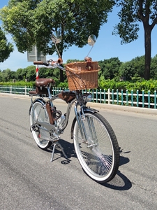 Vintage 26 pulgadas Euro-American 7 Speed Beach Cruiser Bike 140 Spoke Dual Shock Absorbing Chrome V Pedal de freno tipo Ordinary V - Product Image 5