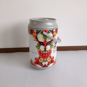 HS Plastic Colorful <strong>Painted</strong> Beer Can Ice Chest for Camping Picnic Sports Hard <strong>Cooler</strong> with logo Promotion Food <strong>Cooler</strong> - Product Image 6