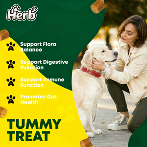 Probióticos ODM para Mascotas con Prebióticos - Golosinas Blandas Altas en Proteínas que Apoyan la Salud Inmunológica y Digestiva para Perros - Product Image 2