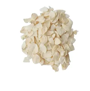 Garlic Powder Dehydrated Top Grade Dried Garlic Flakes Air Dry Garlic Powder Factory Offer