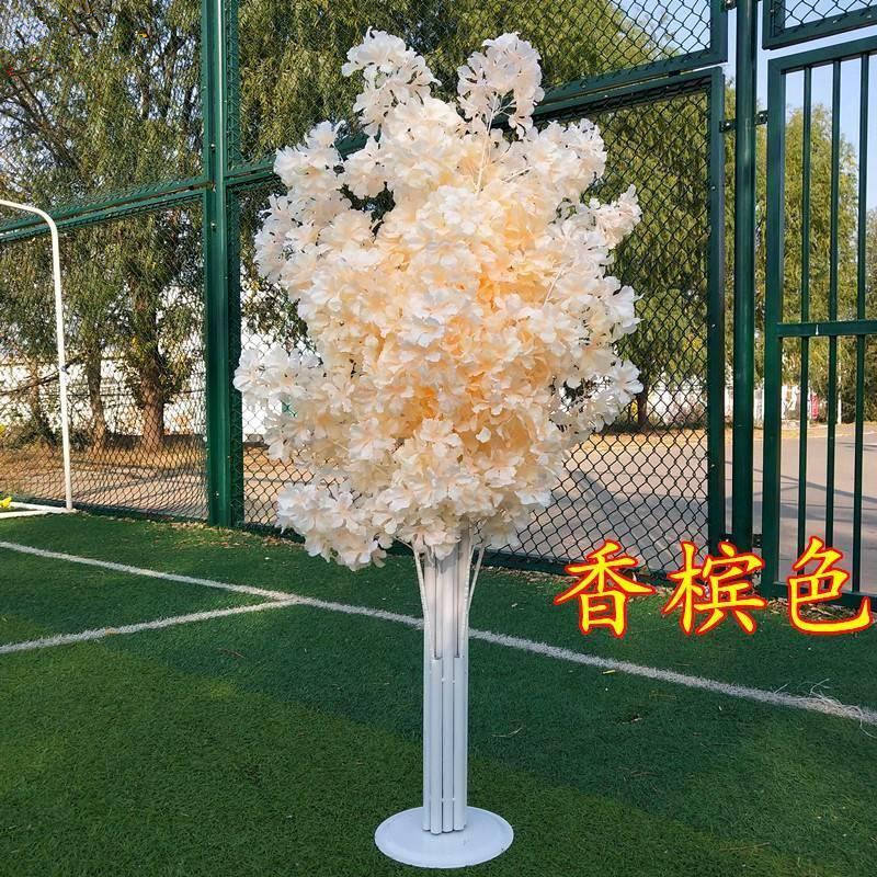 Couleur Champagne (cadre blanc)