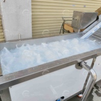 Temperatuurregeling multifunctionele machine voor het blancheren van maïs, fruit, groenten en kokoschips voor kokosvlees/gelei-snacks