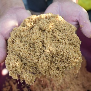 Cebo de carne de Guangxi para la pesca de carpas en estanques y embalses, atrayente granular en forma de pellets, sin necesidad de aditivos. - Product Image 2