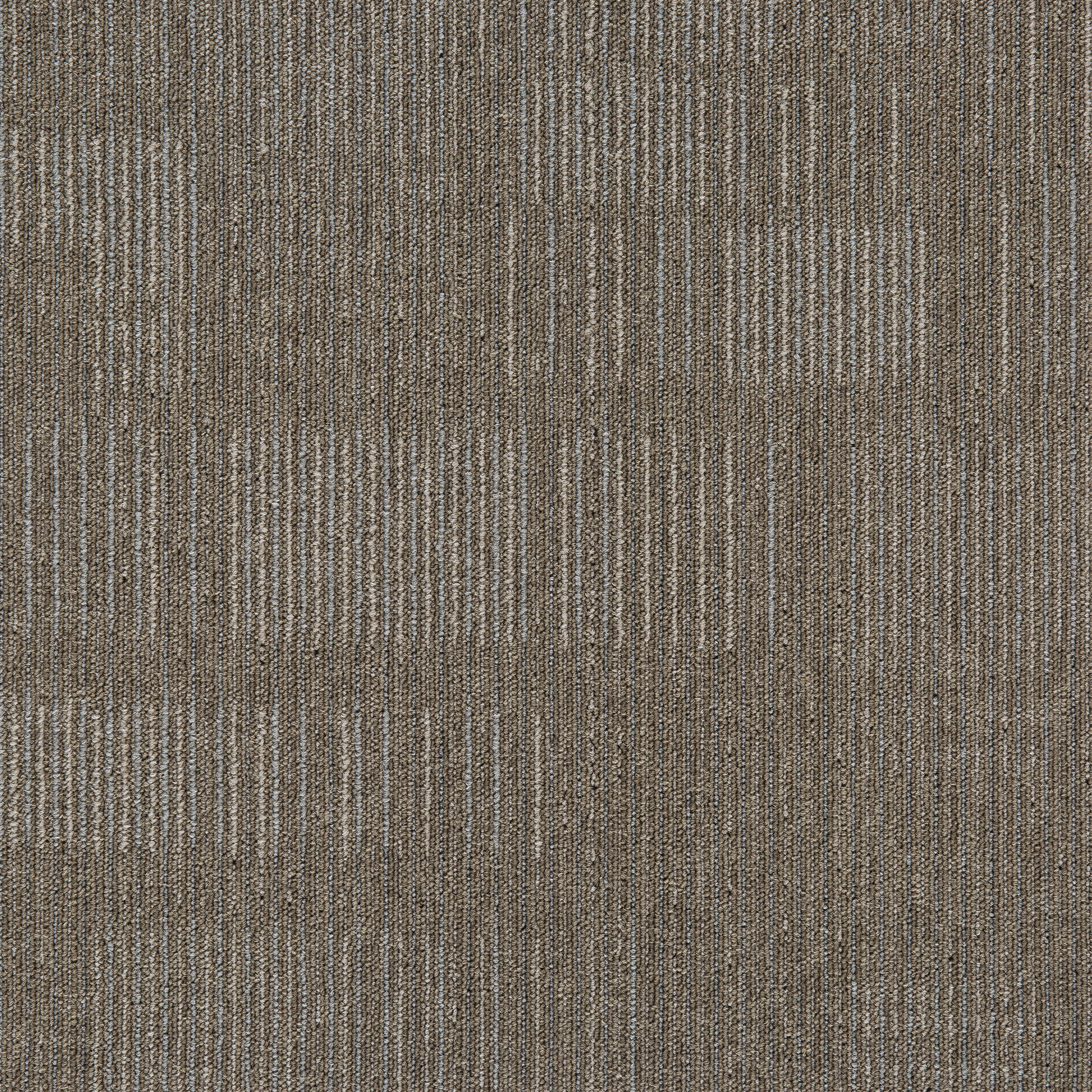Grey05