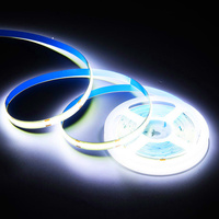 Tira de luces LED USB ultradelgada de 5m Flexibilidad 4,5mm Ancho 528led/M COB 4000K Temperatura de color 2700K blanco cálido IP20/IP65