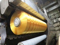 Fil FDY en polyester teint en masse 50D-600D, plus de 3000 couleurs, haute ténacité, filament plat pour sangles et fils à coudre