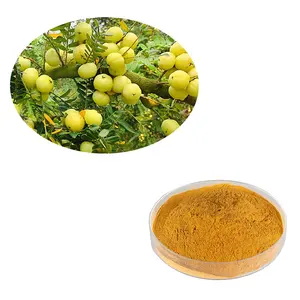 HONGDA Amla Powder Amla Fruit Powder