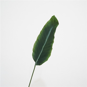 Feuilles de bananier artificielles de haute qualité, feuille de <span class=keywords><strong>strelitzia</strong></span> verte, <span class=keywords><strong>plante</strong></span> décorative <span class=keywords><strong>artificielle</strong></span>, ornement d'intérieur et d'extérieur - Product Image 6