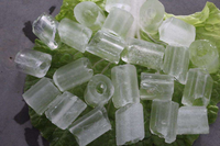 Máquina de Hielo en Tubo Industrial de Alta Calidad, Fábrica de Hielo en Tubo para Bares, Restaurantes, Supermercados, Industria de Refrigeración, CE