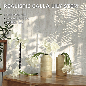 Lirio de Cala Artificial Blanco, Tallo Individual, Arreglo Floral de Plástico Hecho a Mano para Decoración de Interiores de Hotel - Product Image 2