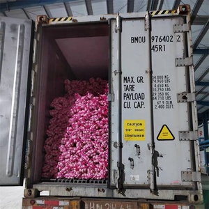 Ail frais chinois 4 KG Emballage en sac en filet Exportation vers Dubaï Taille 5cm 5.5cm <span class=keywords><strong>Prix</strong></span> bas Ail frais pur blanc - Product Image 4