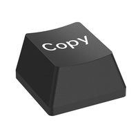 Custom Word Laser Engraved Keycaps for Mechanical Keyboard-Universal ABS Material Black/White/Multi-Color Options Personalized