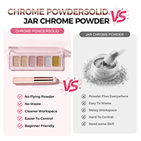 Palette de 6 Couleurs de Poudre Chromée Effet Miroir à Marque Blanche, Kits de Nail Art de Luxe, Ensemble de Pinceaux Stylo en Silicone pour Salon