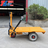 Carretilla Eléctrica China de Plataforma Plana para Transporte, Carro de Construcción de Tres Ruedas, Carretillas y Carros de Mano Eléctricos