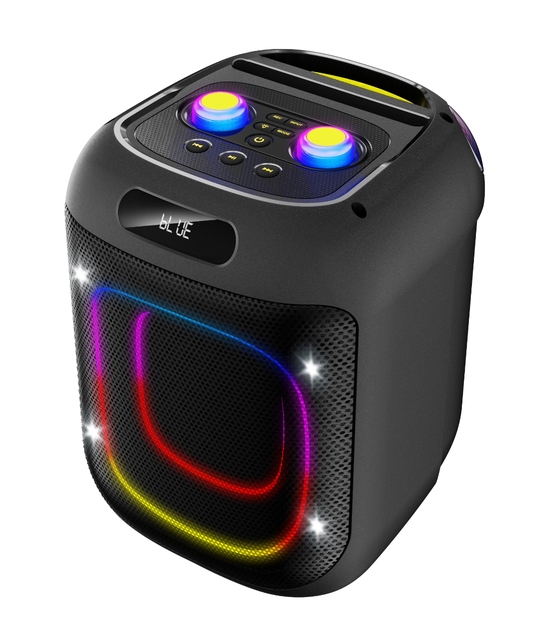 China Supplier Wholesale Price Portable Speaker  6.5 Inch  Speaker With Karaoke Microphone Disco Light