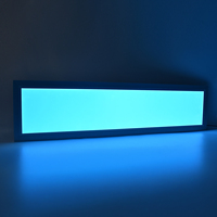 Panel de Luz LED Integrado Moderno para Interiores, 5CCT, 40W, 1x4FT, Efecto de Cielo Azul, Panel de Luz Empotrado