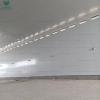 Estructura de Acero Galvanizado por Inmersión en Caliente, Resistente, para Granjas Avícolas, con Diseño de Ventilación Tipo Túnel
