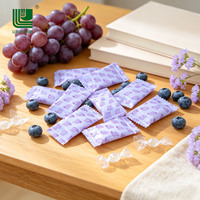 Halal Filled Soft Sorghum Syrup Toffee Candy | 24g Multi-Colored Bag | Chewy Fruit Flavors | OEM Supported | ISO9001 HACCP