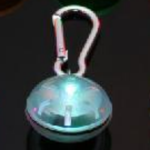 एलईडी बिल्ली कुत्ते पशु सहायक उपकरण धातु कैरबिनर पालतू कॉलर पट्टा गोल पेंडेंट क्लिप के साथ प्रकाश प्लास्टिक टैग की आपूर्ति करते हैं - Product Image 4