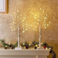 Guirlandes lumineuses LED d'extérieur pour Noël, blanc chaud, 3m, installation facile, décorations de sapins, ambiance festive des fêtes