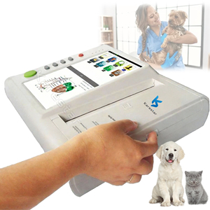 Electrocardiógrafo Digital de 12 Derivaciones y 12 Canales para Mascotas en Descanso, al Mejor Precio - Product Image 1