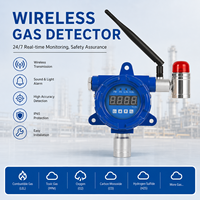 Détecteur de gaz sans fil HIREP LoRa antidéflagrant haute précision avec alarme acousto-optique pour CO, CO2, N2, He, garantie 1 an, ATEX
