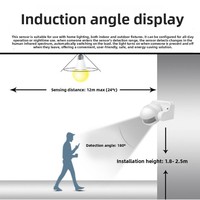 Saklar Induksi Tubuh Manusia Inframerah Saklar Proximity Kontrol Lampu Tunda yang Dapat Disesuaikan 220V Sensor Luar Ruangan yang Dipasang di Permukaan