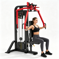Nouvel Arrivage Appareil Commercial Robuste Écologique à Poids Chargés pour Deltéens Posterioriels/Pectoraux avec Pile de Poids de 70 kg pour Musculation