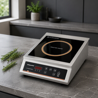 Kompor Induksi Portabel 3500W Harga Pabrik, Satu Zona, Ringkas, Bahan Stainless Steel 220V untuk Dapur Rumah