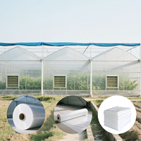Film plastique pour serre durable de 200 microns, résistant aux UV, film agricole pour serre tunnel
