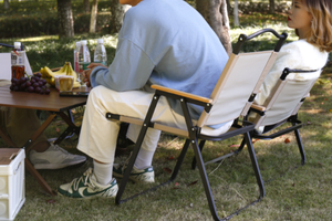 Chaises pliantes d'extérieur en acier, chaises de camping portables pliantes de type Kermit - Product Image 4
