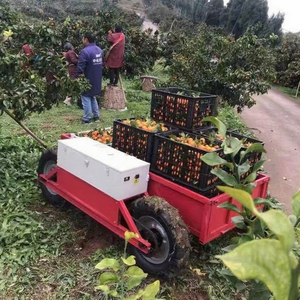 500kg Electric Remote Control All Terrain <strong>Transporter</strong> Orchard Farm Electric UTV <strong>Material</strong> Handling Equipment Four-wheel Drive - Product Image 2
