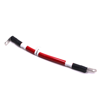 Maßgefertigter 70mm² 200A Verzinnter Kupfer 220V Auto-Steckverbinder 241225-06 PVC-Isolierter Kabelbaum für Neue Energie-Batterien