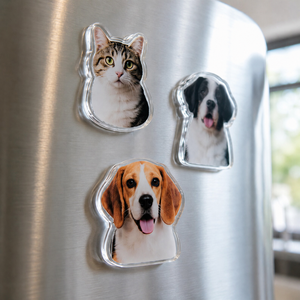 Aimant de réfrigérateur en acrylique de qualité supérieure, motif chat mignon, bord lisse, aimant puissant, vente en gros directe usine - Product Image 1